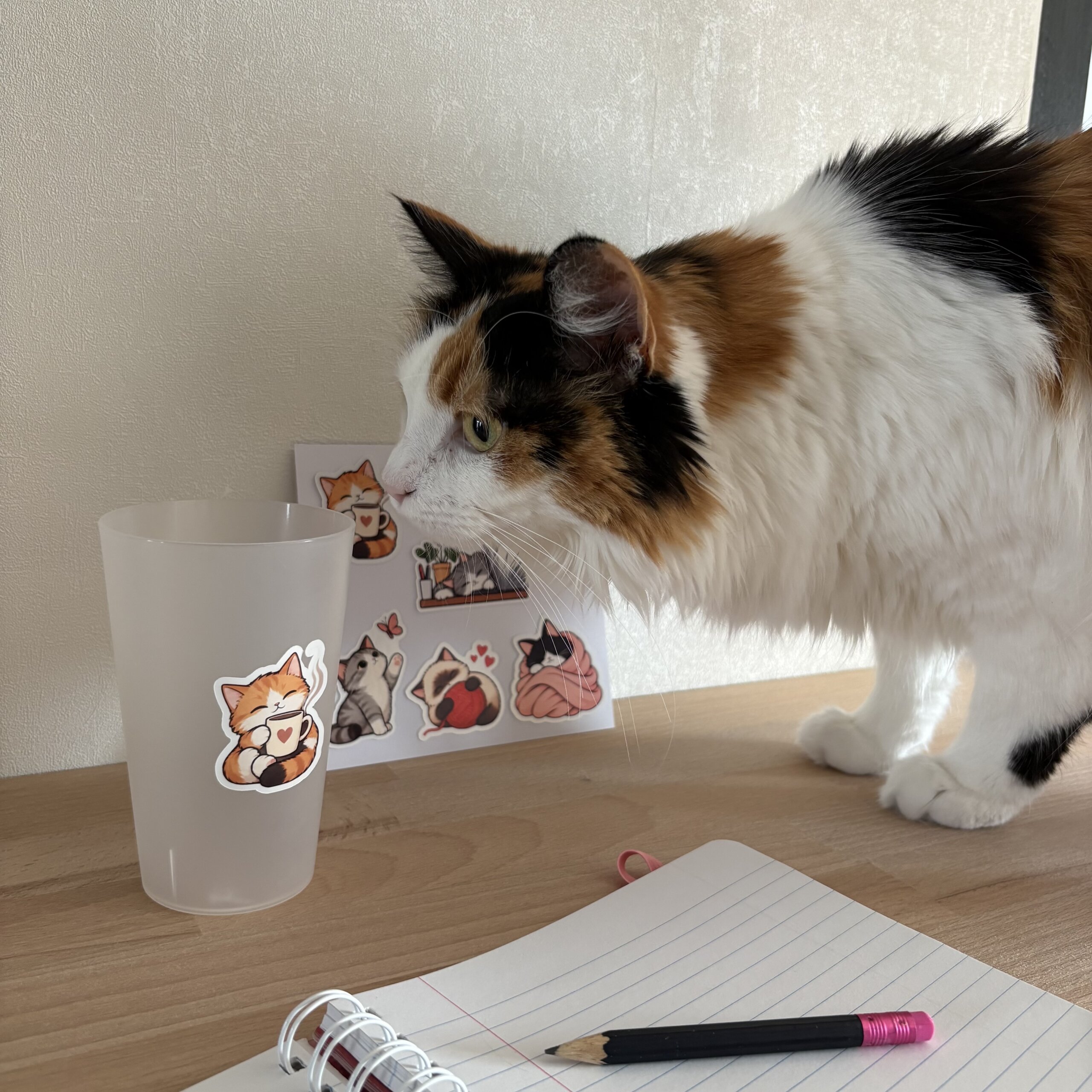 Sticker chat avec une tasse collé sur un gobelet, présenté avec la collection de stickers chats